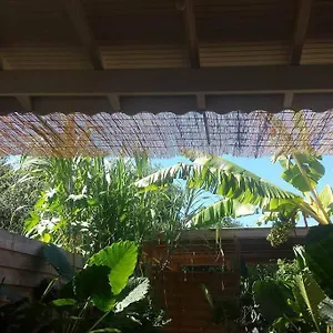 Le Tiki Cote Canne Grand-Bourg (Marie Galante)